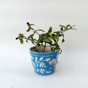 Blue Pottery Flower Pot