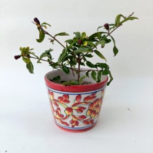 Blue Pottery Flower Pot